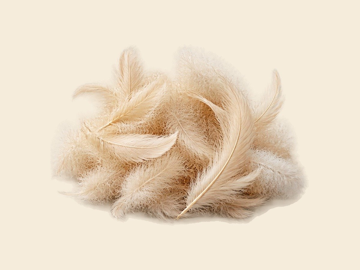 Hydrolysed Feather Meal
